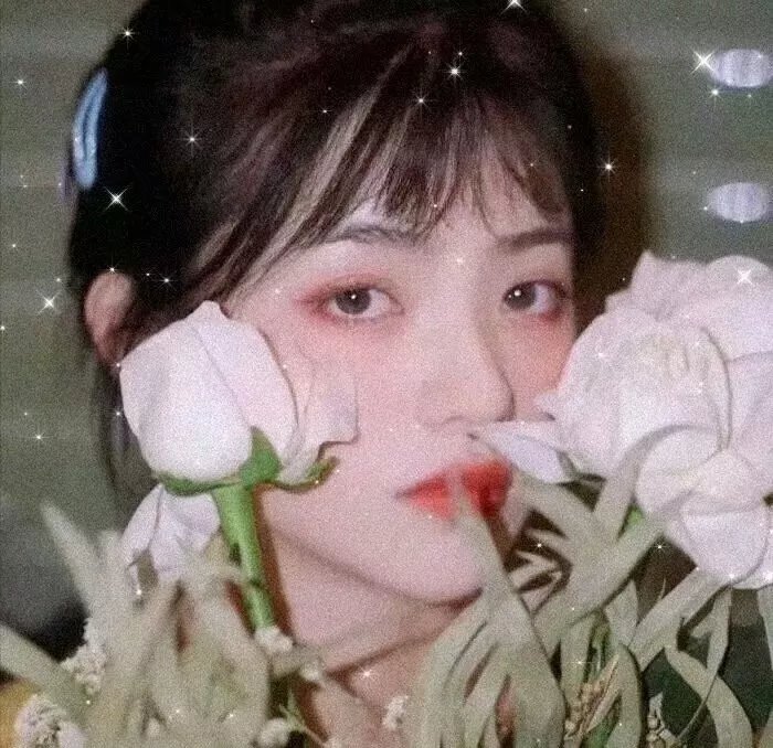 吸血鬼生活